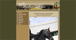 Desktop Screenshot of 401karabians.com